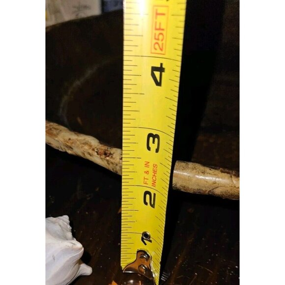 18 Lot: 16 Seashells &2 Puff Sand Dollars w/Brown Ceramic Display Bowl - Picture 12 of 12